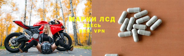 прущие грибы Белоозёрский