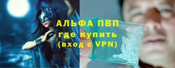 прущие грибы Белоозёрский
