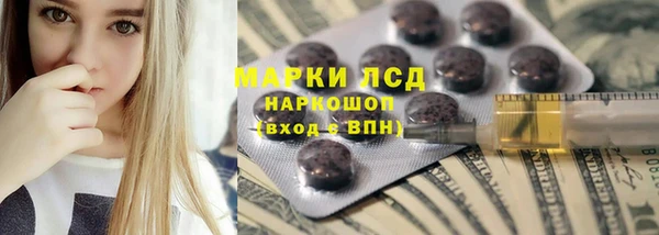 трава Белокуриха