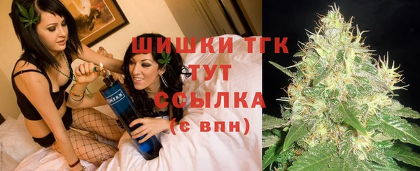 трава Белокуриха