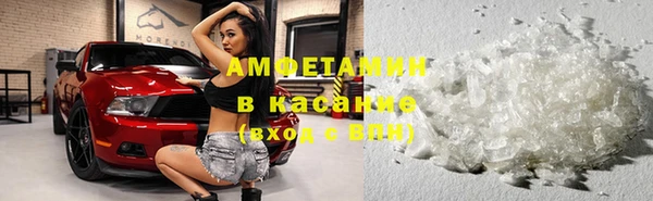 трава Белокуриха