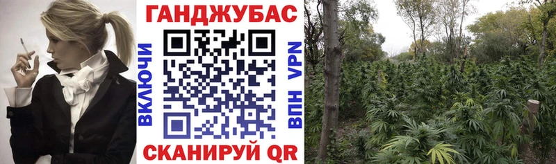 МАРИХУАНА планчик  Костомукша 